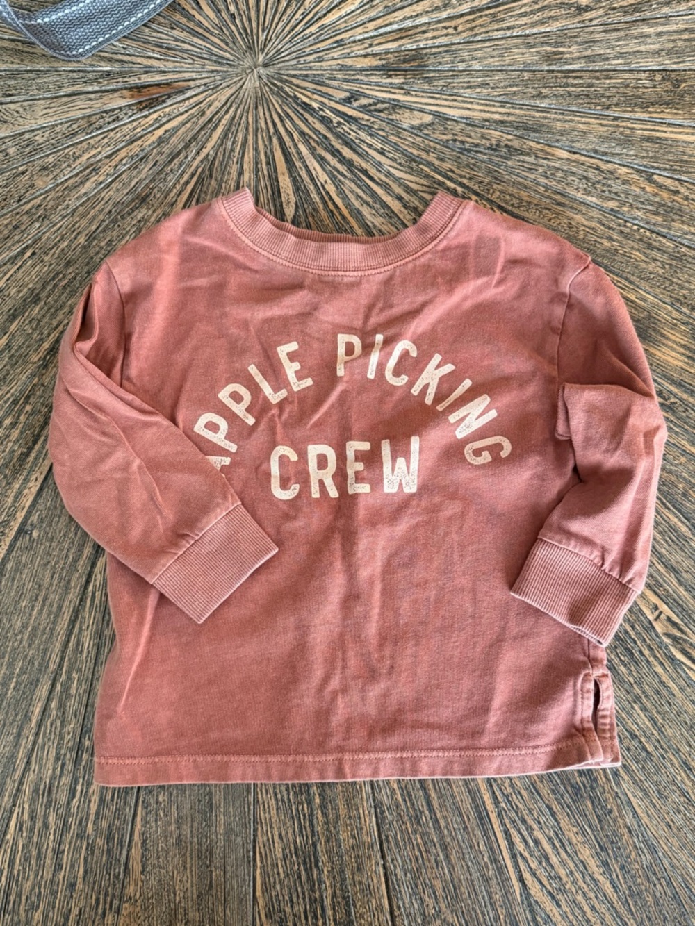 LC Lauren Conrad Apple Picking Crew Long Sleeve Top